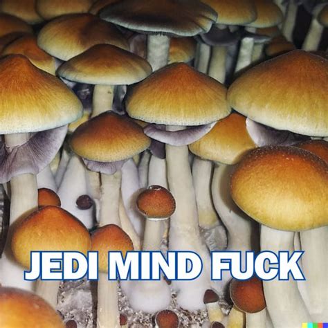 jedi mind fuck effects|Jedi Mind